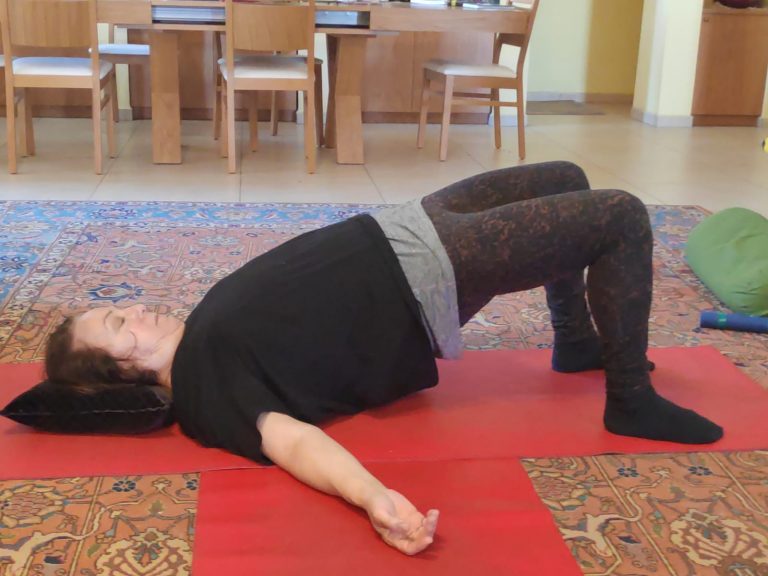 הקשתת הגב או גשר